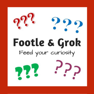 Footle and Grok 300 x 300 curiosity